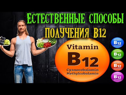 Видео: 3 способа получить витамин B12 естественным путем