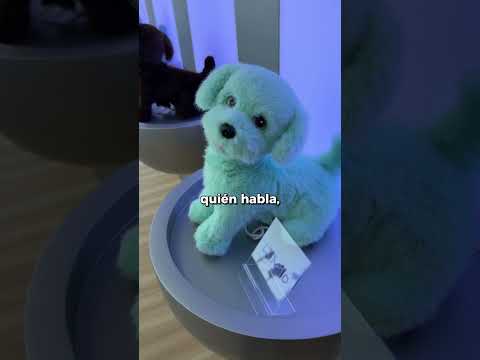 ¿Y si un robot pudiera ayudar a que tu abuela no se sienta sola?
