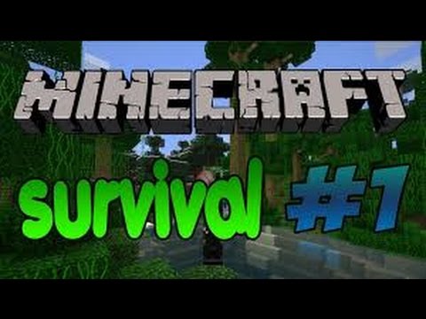 Minecraft survival #1 (დასაწყისი)