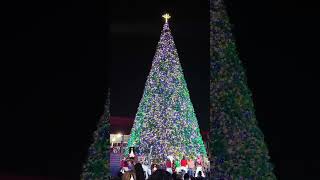 The Christmas Tree Lighting countdown at Carowinds WinterFest! 🎄