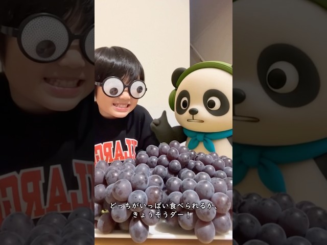 パンダくん巨峰🧑‍🦲食べ放題したら🍇面白いアニメ【パンダの日常】 #ショート #カワイイ #panda