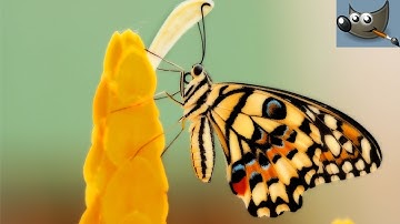 Create the Orton Effect in Gimp