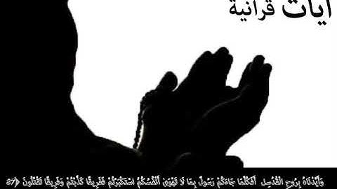 سورة البقرة وَلَقَدْ آتَيْنَا مُوسَى الْكِتَابَ وَقَفَّيْنَا مِنْ بَعْدِهِ بِالرُّسُلِ ۖ وَآتَ ﴿87﴾