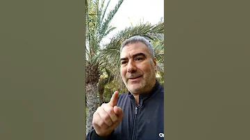معجزة مذهلة في عدد سور القرآن 