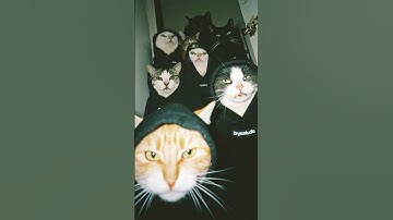 Make by ai| #aime #ai #music #runway #chatgpt #aianimation #aianimals #animation #viralvideo #aiart