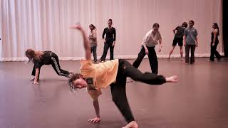 UofM Capoeira Class