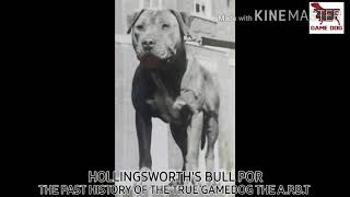 A.p.b.t Hollingsworths Bull Por