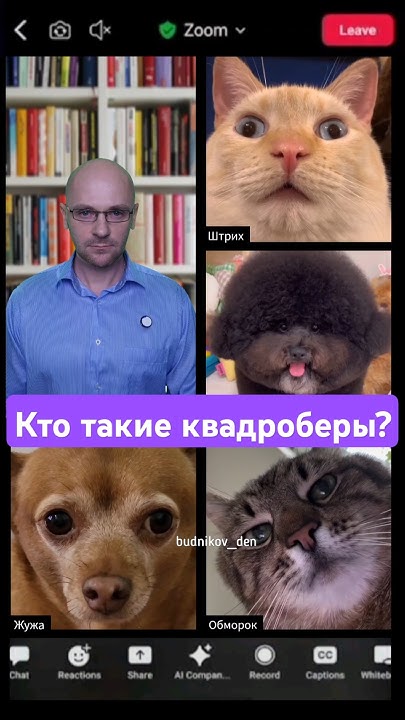 Кто такие квадроберы? - YouTube
