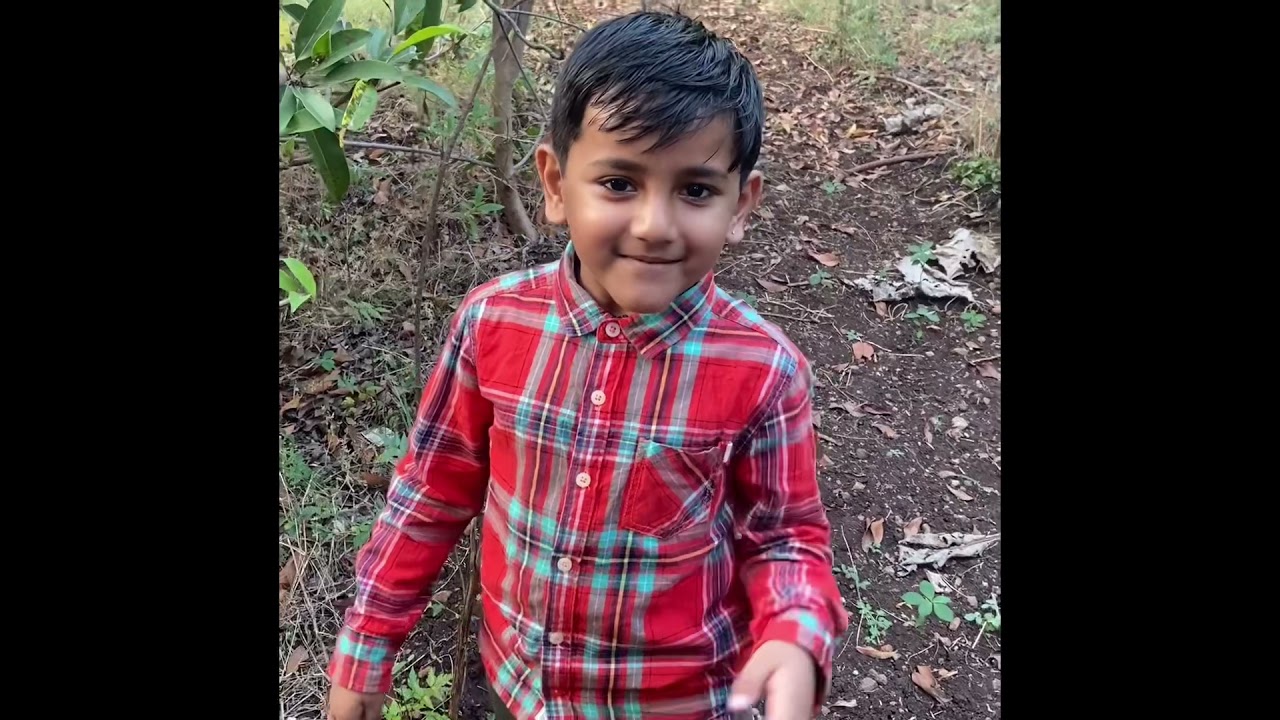 A day out at farm 😊 Chikku (sapota) farm. Chikku plantations