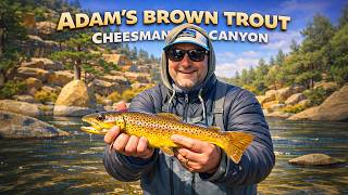 Brown Trout at Cheesman Canyon - Adams's catch with Peter's assist