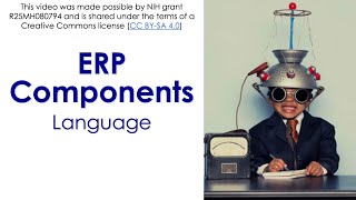ERP Components 6-  Language