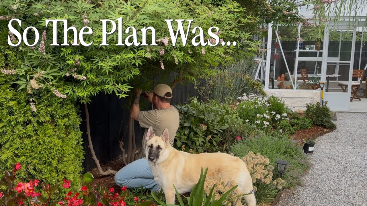 Первый душистый горошек сезона + пара новых растений в саду || Посетите наш сад