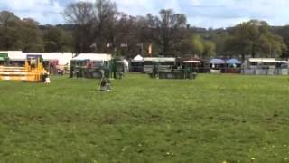 Emill SJ Hambledon Open Novice clear round