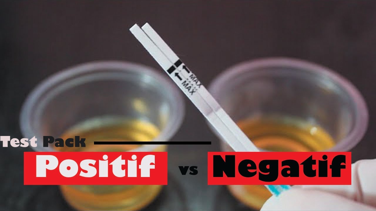 Perbedaan Hasil Tes Kehamilan Positif dan Negatif ð Pregnancy Test ð