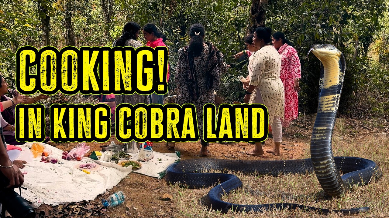 🔥 Cooking in the King Cobra Capital | Village Food Experience in Agumbe Forest 🐍