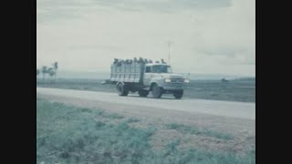 News Item (033155dc-a8ad-2f0f-9d86-08bd2a2d8a5d)