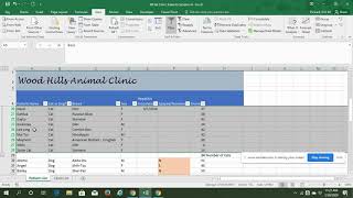 L9 SS - Group and Ungroup Data screenshot 5