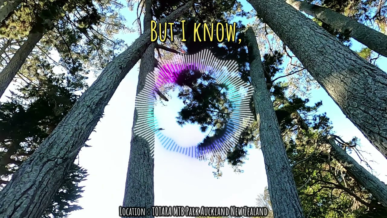 I Need More of You HALLMAN FEAT LE JUNE (with Lyrics ) Best of