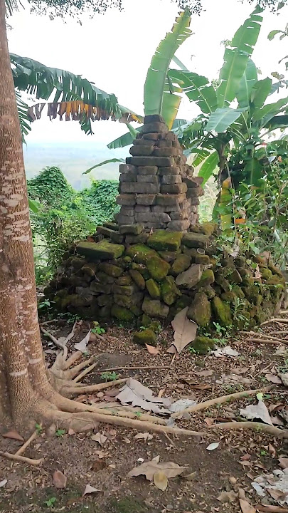 heboh, bertapa sampai berlumut bukan sekedar dongeng