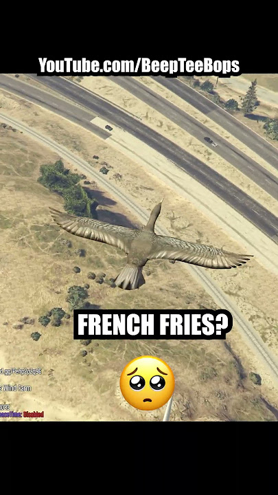 Trolling in GTA as a Bird
