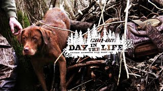 Addison Edmonds and Gunner Kennels • Day in the Life
