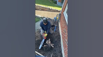 Bush & Stump Removal #landscaping #satisfying #stumpremoval