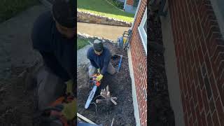 Bush & Stump Removal #landscaping #satisfying #stumpremoval