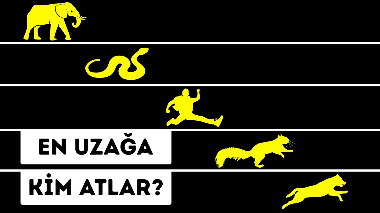 Örümcekler Sizden Daha Yükseğe Sıçrar