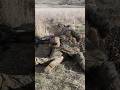 Drilling for a Dead Gunner