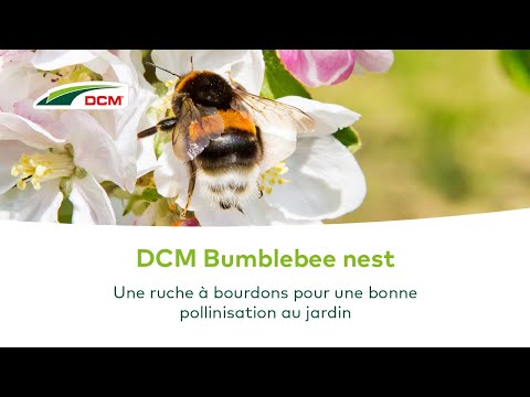 Vidéo: Bumblebee Shelter - Comment faire un nid de bourdon pour le jardin