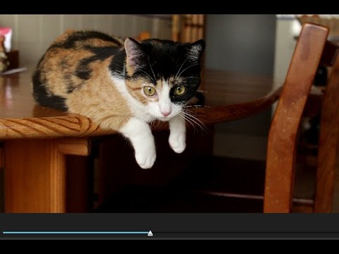 Video Snapshot on the EOS 70D