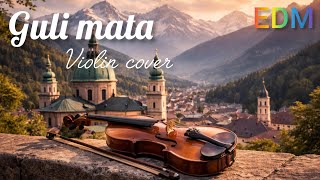 Guli Mata - Saad Lamjarred | Shreya Ghoshal l violin cover l edm remix l sl danu beats