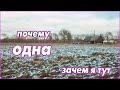 Ответы на вопросы