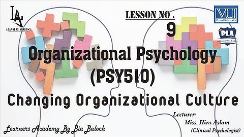 Organizational Psychology (PSY510) VU Urdu/Hindi | Lecture No.09 | PLA By Bia Baloch