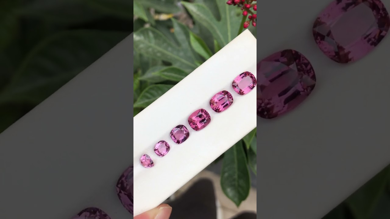 Explore The beauty Of spinal🌸 