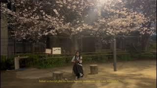 Millions of Wrongs, Billions of Forgiveness - Suara Kayu