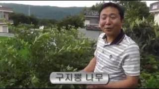 산꼭대기 고추 농사로 연매출 3000만원! [정보통 광화문 640] 9회 20170713