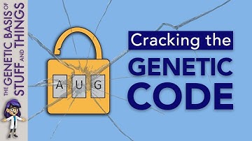 Cracking the genetic code