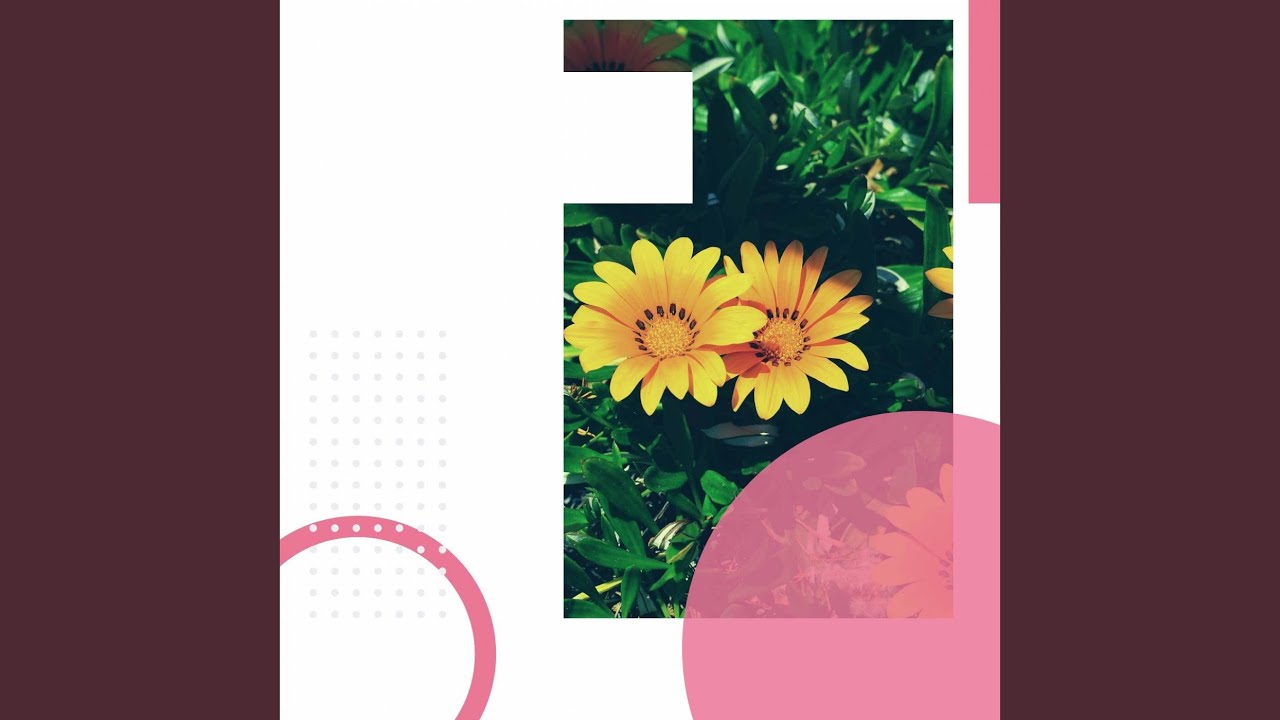 Exquisite Moods for Resting Easy