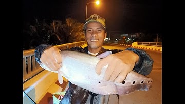 CÂU CÁ THÁC LÁC CƯỜM KHỦNG VÀ MỒI CÂU THÁC LÁC CƯỜM SIÊU NHẠY- KHÁM PHÁ SĂN BẮT