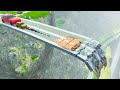 Big  small color cars vs balaz vs broken bridge in beamng drive