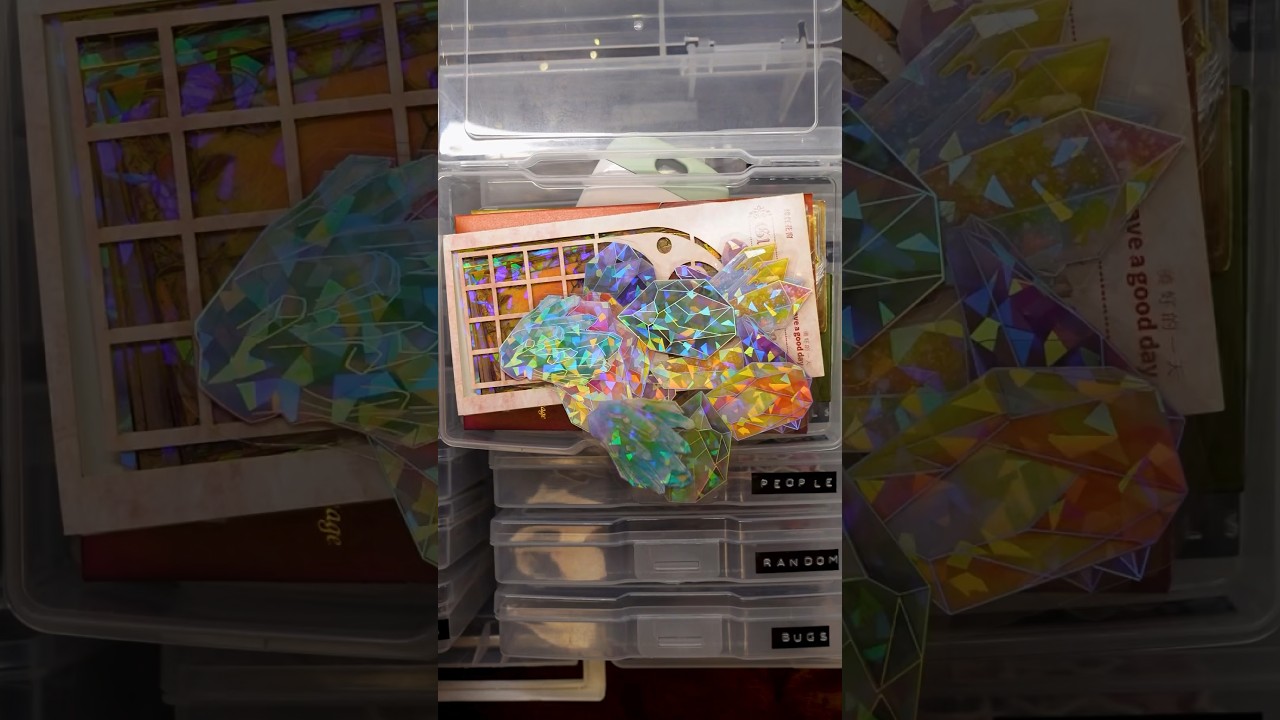 Organize with me #shorts #organization #scrapbooking #journaling #junkjournal