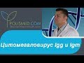 Цитомегаловирус Igg и Igm. ИФА и ПЦР при цитомегаловирусе. Авидность к цитомегаловирусу