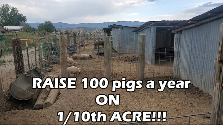 The near PERFECT "working man's" PIG PEN Setup