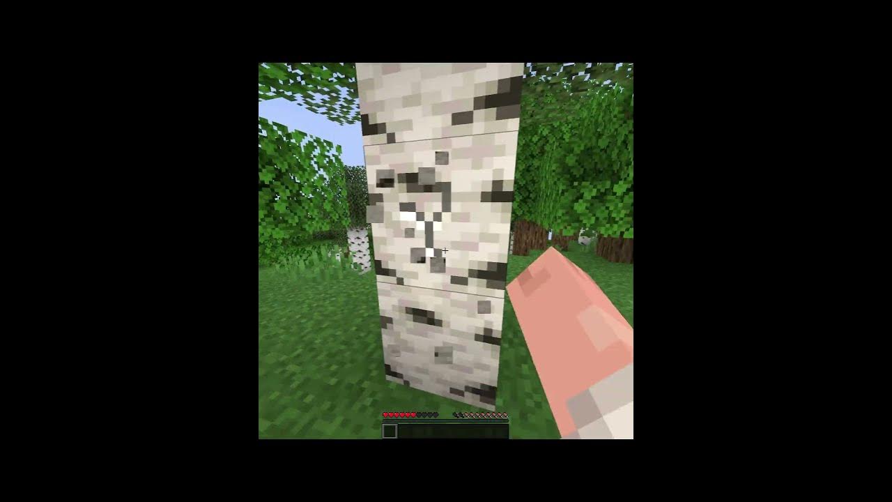 Minecraft creeper terrorist pt 2 youtube