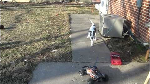 First video with my Rustler VXL