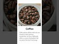 10 Foods Good for Brain Function