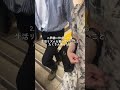 妊活卒業したママから聞いた葉酸サプリ、やっと見つけた！楽天・Amazonでも買えたよ🫶#PR #不妊 #妊活 #妊活中 #ベルタプレリズム #ベルタ #栄養 #葉酸 #葉酸サプリ #ベビ待ち