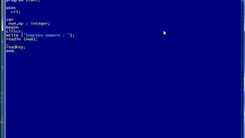 Free Pascal IDE - Estructura IF