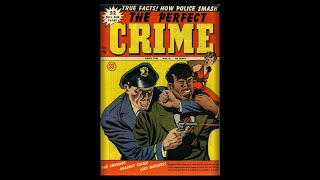 PerfectCrime（11）